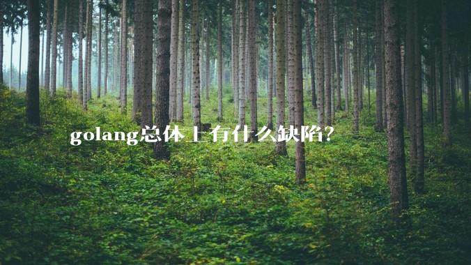 golang总体上有什么缺陷？