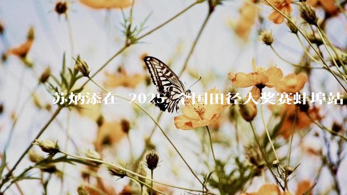 苏炳添在 2025 全国田径大奖赛蚌埠站 100 米预赛中止步小组第三，背后的原因可能有哪些？