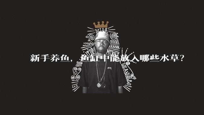 新手养鱼，鱼缸中能放入哪些水草？