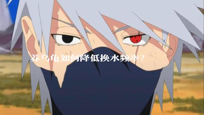 养乌龟如何降低换水频率？